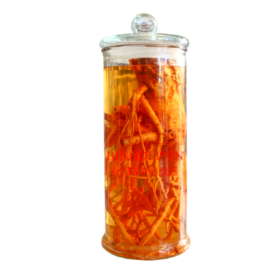 Bình thủy tinh 19L ống trụ trơn ngâm rượu sâm
