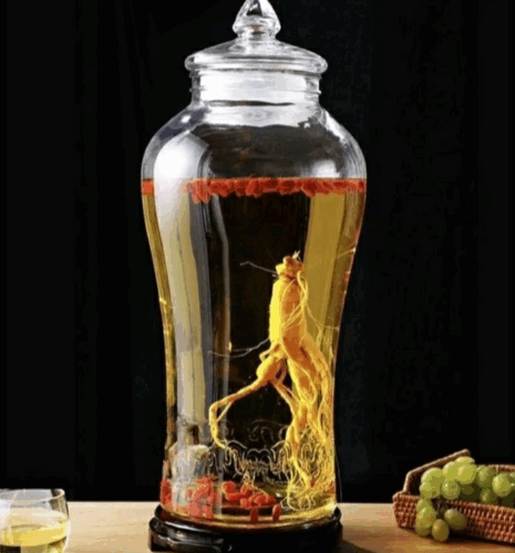 Bình thủy tinh 15 lít chân mây ngâm rượu sâm