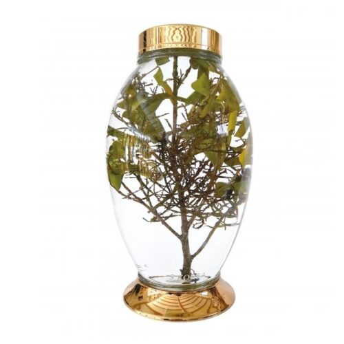 Bình thủy tinh 8.5 lít Hàn Quốc ngâm rượu sâm MN 124 Mã sản phẩm: MN 174