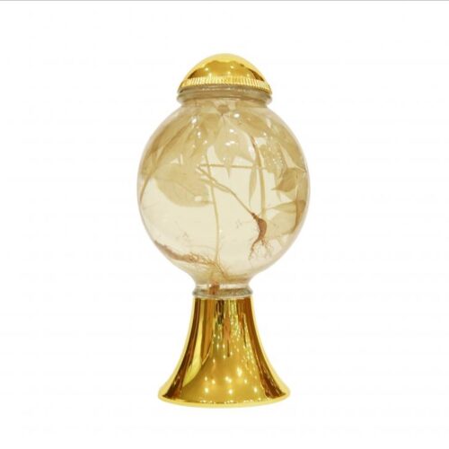 Bình thủy tinh 5 lít Hàn Quốc ngâm rượu sâm MN 40 - 5L