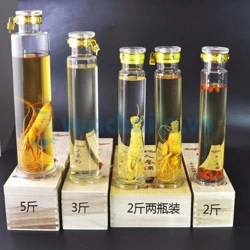 Bình thủy tinh 2.5 lít móc khóa ngâm rượu sâm