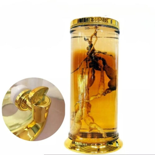 Bình thủy tinh 12.8 lít có vòi ngâm rượu sâm Phú Hòa Việt Nam
