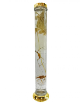 Bình thủy tinh 1.2 lít Hàn Quốc ngâm rượu sâm MN 111