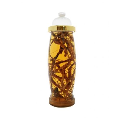 Bình thủy tinh 7 lít Hàn Quốc ngâm rượu sâm AF 11-7L