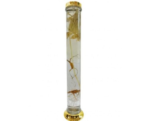 binh tru han 119 3l 768x632 1